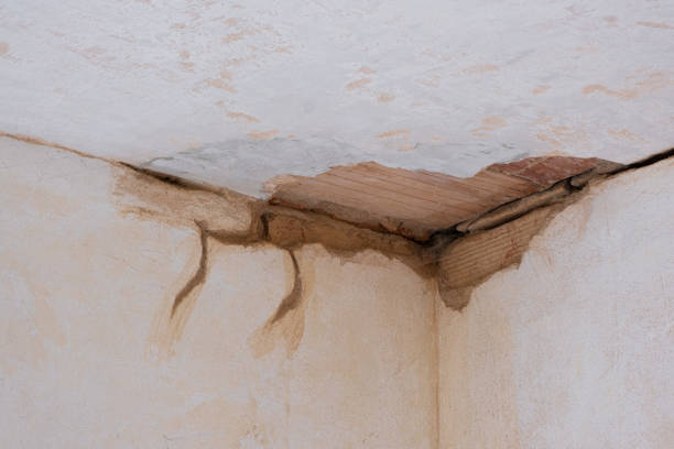 Sewage cleanup and water damage restoration in Eagle Lake, MN