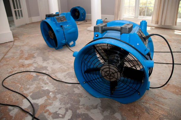 Water damage restoration mold remediation in Eagle Lake, MN