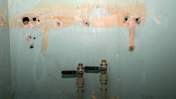 Best Sewage cleanup and water damage restoration  in Eagle Lake, MN