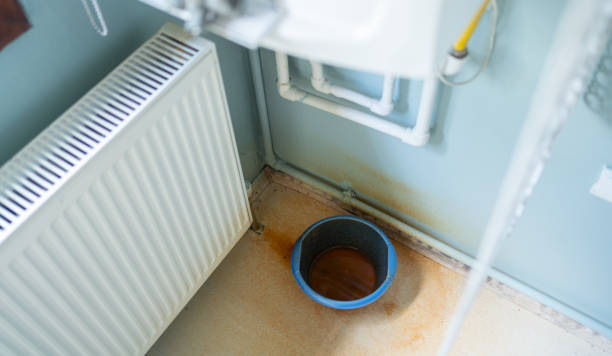 Best Fire Damage Restoration  in Eagle Lake, MN