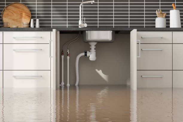 Best Ceiling water damage repair  in Eagle Lake, MN