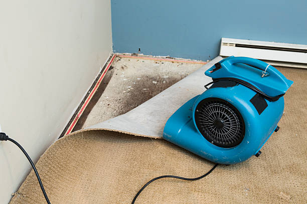 24/7 water damage repair in Eagle Lake, MN